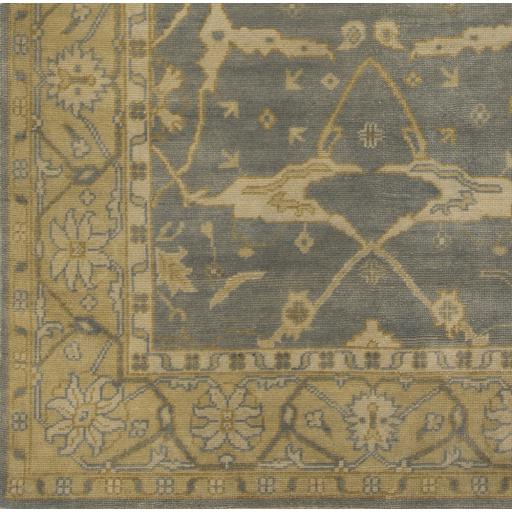 Surya Ainsley AIN-1010 5'6" x 8'6" Rug