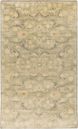 Surya Ainsley AIN-1013 3'9" x 5'9" Rug