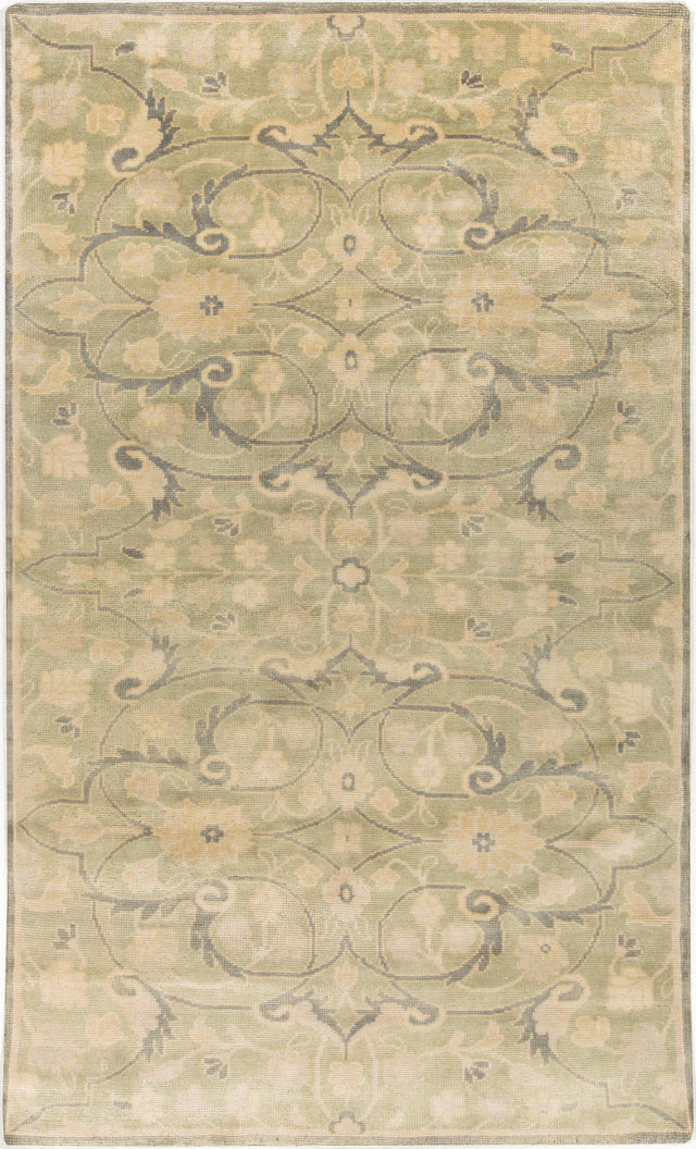 Surya Ainsley AIN-1013 3'9" x 5'9" Rug