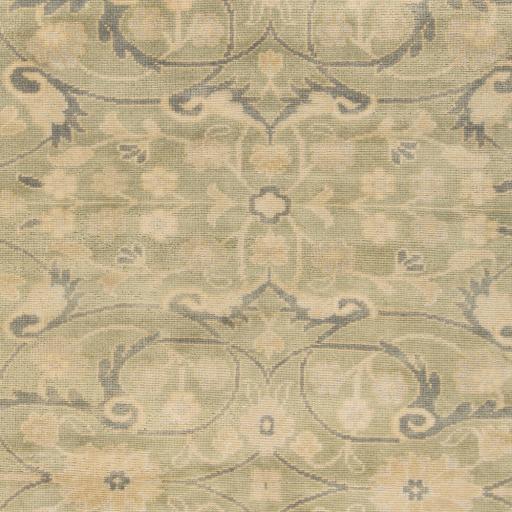 Surya Ainsley AIN-1013 Beige Light Olive 3'9" x 5'9" Rug