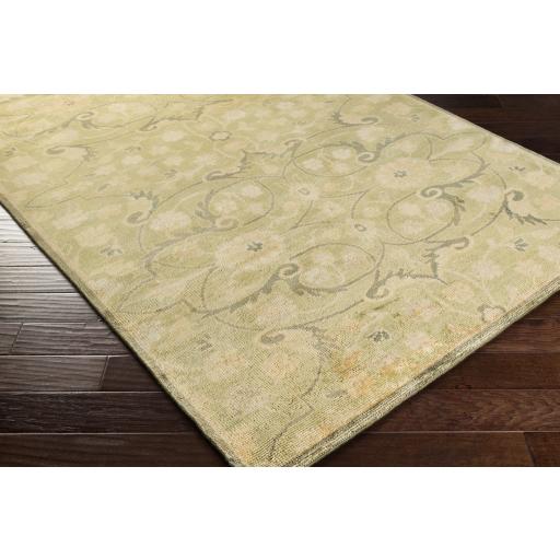 Surya Ainsley AIN-1013 Beige Light Olive 5'6" x 8'6" Rug