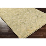 Surya Ainsley AIN-1013 Beige Light Olive 5'6" x 8'6" Rug