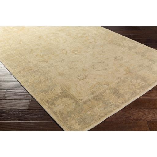 Surya Ainsley AIN-1017 Ice Blue Light Beige 3'9" x 5'9" Rug