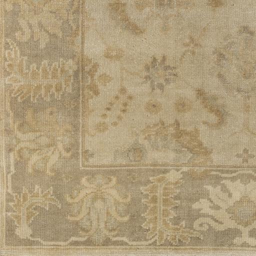 Surya Ainsley AIN-1017 3'9" x 5'9" Rug
