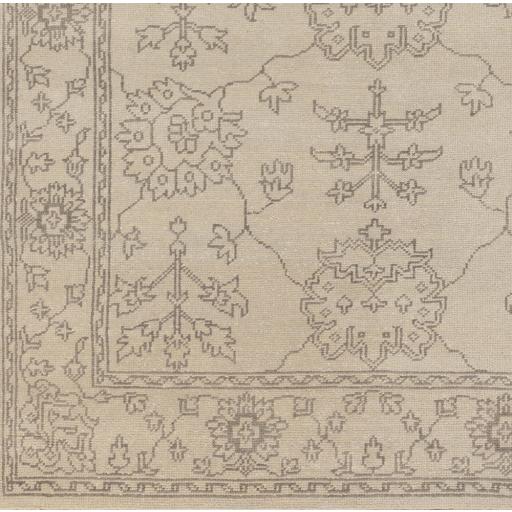 Surya Ainsley AIN-1018 Charcoal Taupe 5'6" x 8'6" Rug