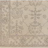 Surya Ainsley AIN-1018 Charcoal Taupe 5'6" x 8'6" Rug