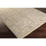 Surya Ainsley AIN-1018 Charcoal Taupe 5'6" x 8'6" Rug