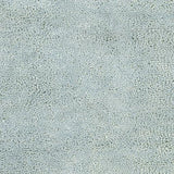 Surya Aros AROS-11 Ice Blue 8' x 10'6" Rug