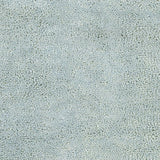 Surya Aros AROS-11 8' x 10'6" Hand Made Rug