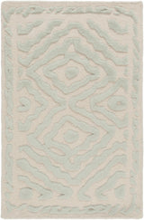 Surya Atlas ATS-1007 2' x 3' Rug