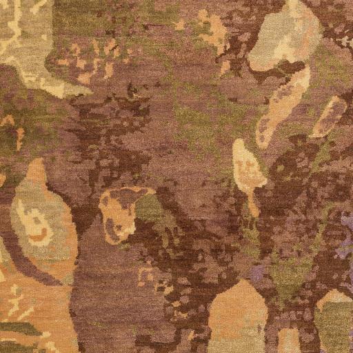 Surya Brought to Light BOL-4005 Camel Dark Brown 2' x 3' Rug