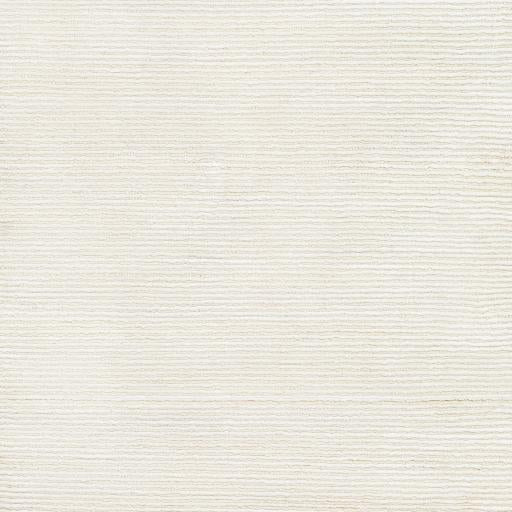 Surya Capri CAP-2304 2' x 3' Rug