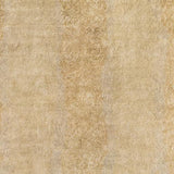 Surya Cheshire CSH-6004 Cream Medium Gray 5'6" x 8'6" Rug