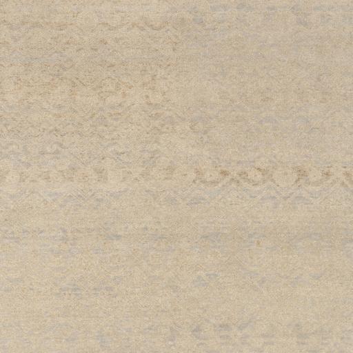 Surya Cheshire CSH-6006 2' x 3' Rug