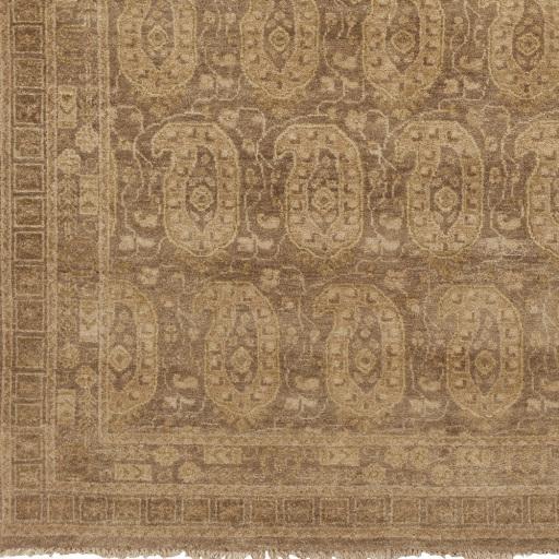 Surya Cheshire CSH-6009 Dark Brown Olive 5'6" x 8'6" Rug