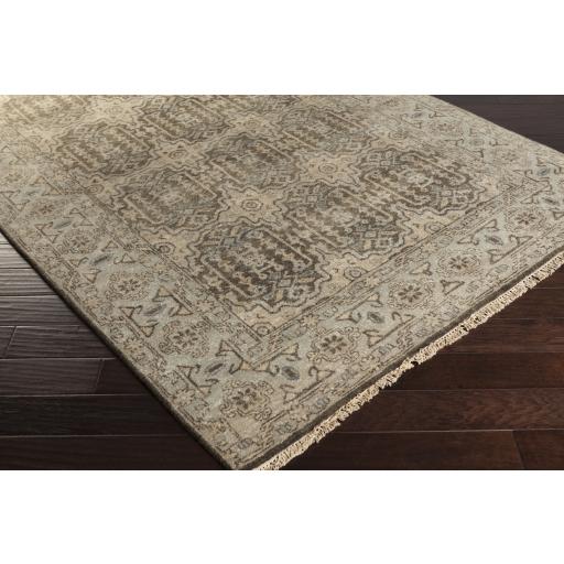 Surya Cheshire CSH-6010 Beige Charcoal 5'6" x 8'6" Rug