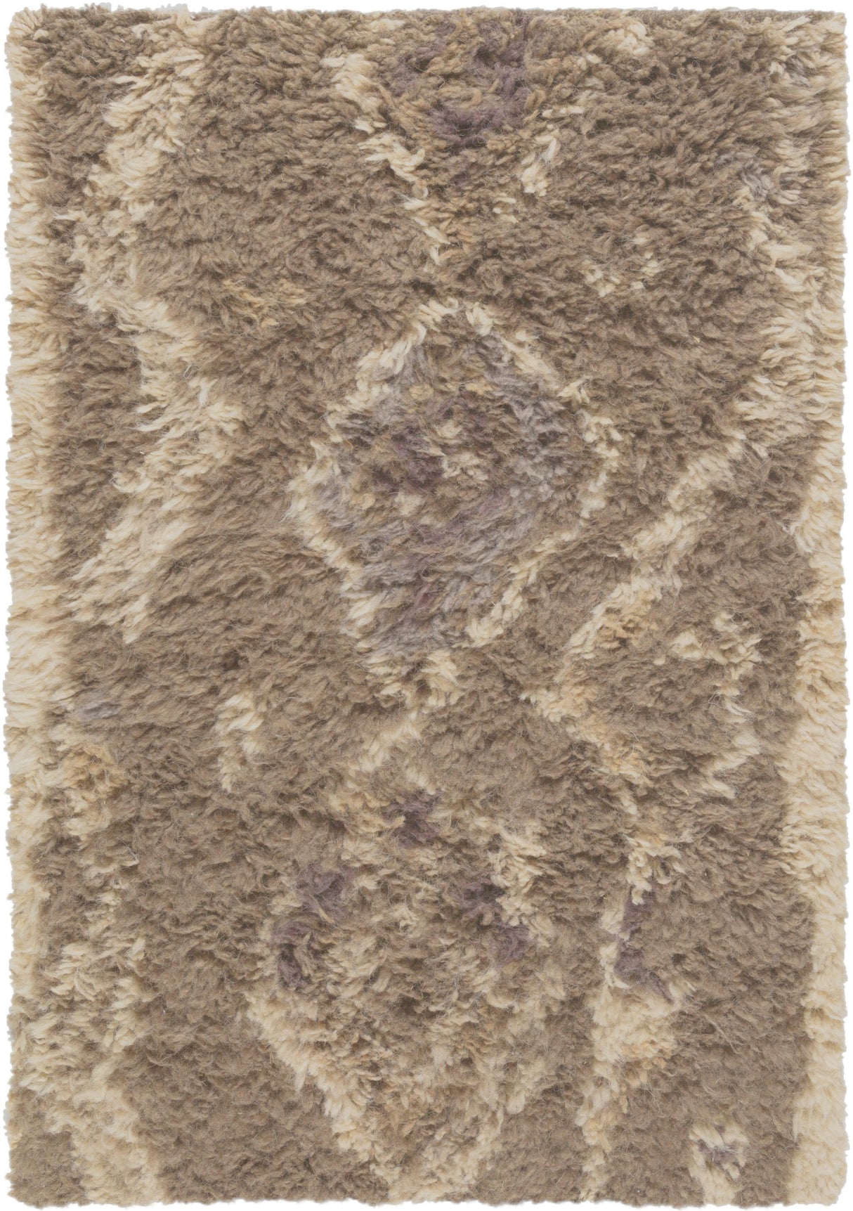 Surya Denali DEN-5003 2' x 3' Rug