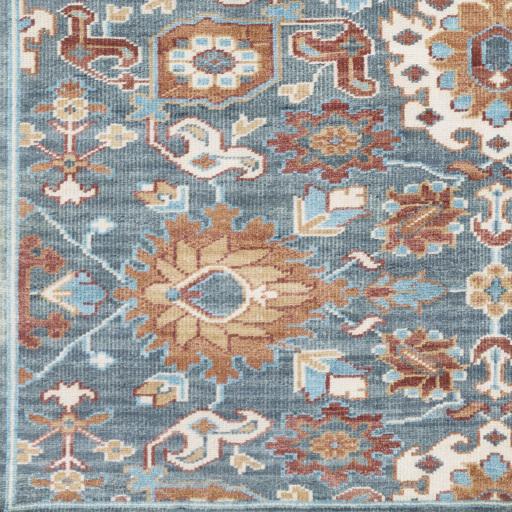 Surya Elixir EXI-1006 Burgundy Camel 2' x 3' Rug