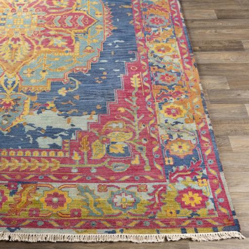 Surya Festival FVL-1002 Brown Dark Blue 6' x 9' Rug