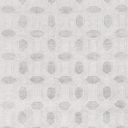 Surya Florentine FNT-1001 Cream Light Slate 2' x 3' Rug