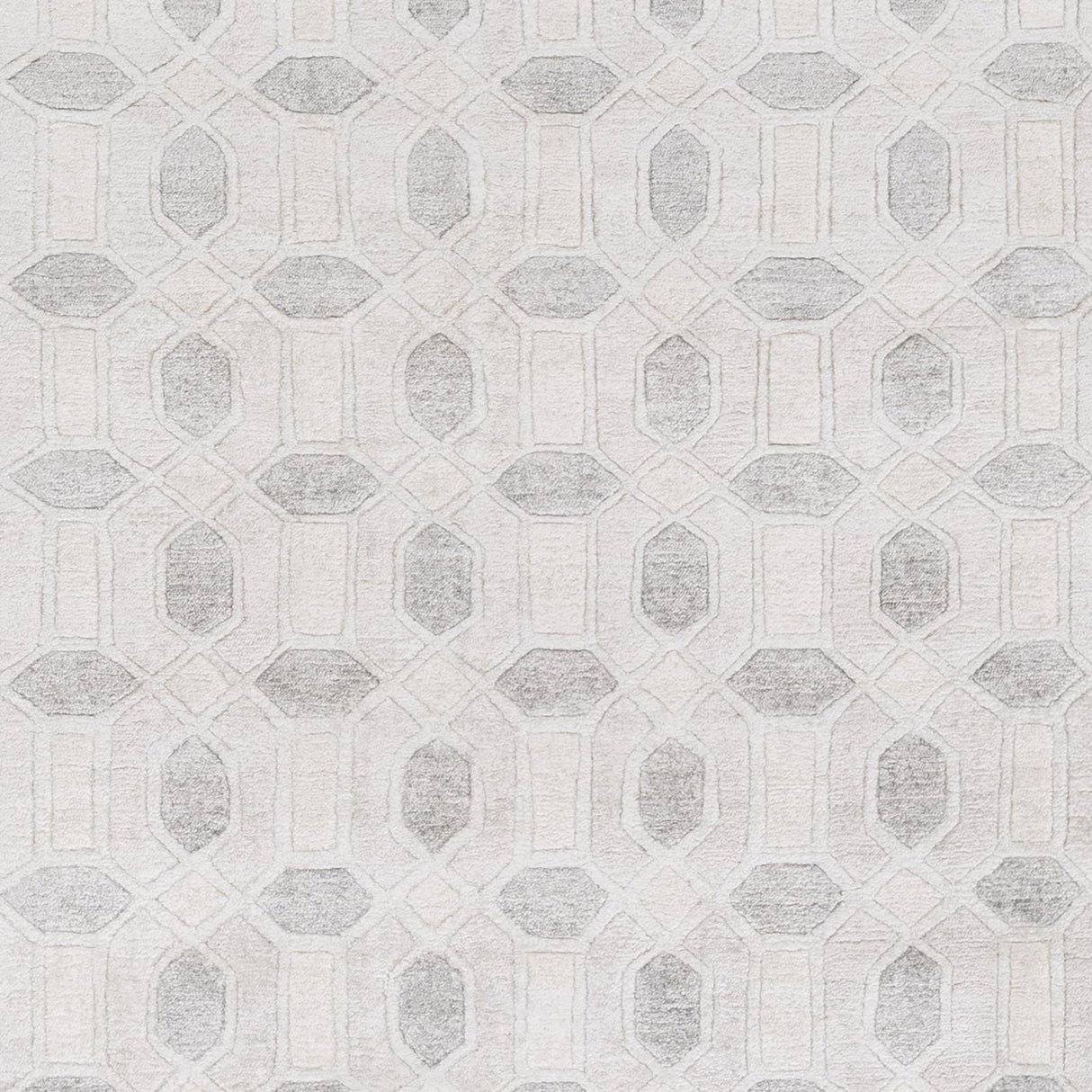Surya Florentine FNT-1001 2' x 3' Hand Made Rug