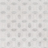 Surya Florentine FNT-1001 2' x 3' Rug