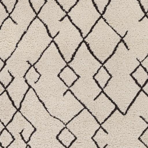 Surya Javier JAV-1001 Black Ivory 4' x 6' Rug