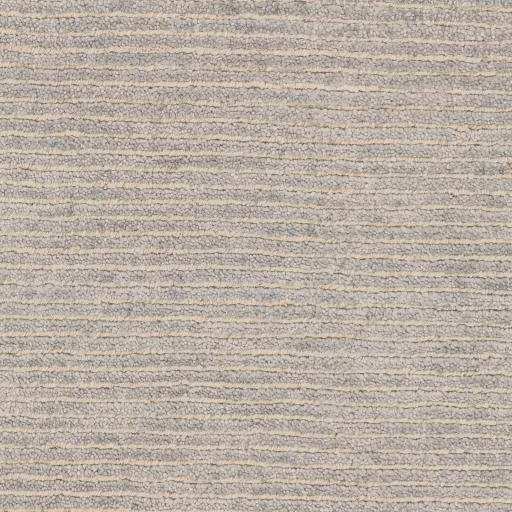 Surya Lamia LMI-1001 2' x 3' Rug