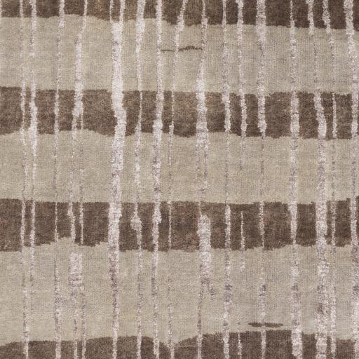 Surya Luminous LMN-3023 Dark Brown Light Beige 5' x 8' Rug