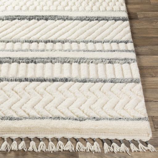 Surya Meknes MEK-1001 2' x 3' Rug