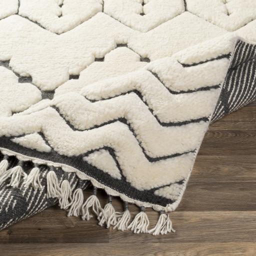 Surya Meknes MEK-1002 2' x 3' Rug