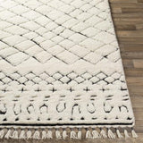 Surya Meknes MEK-1003 2' x 3' Rug