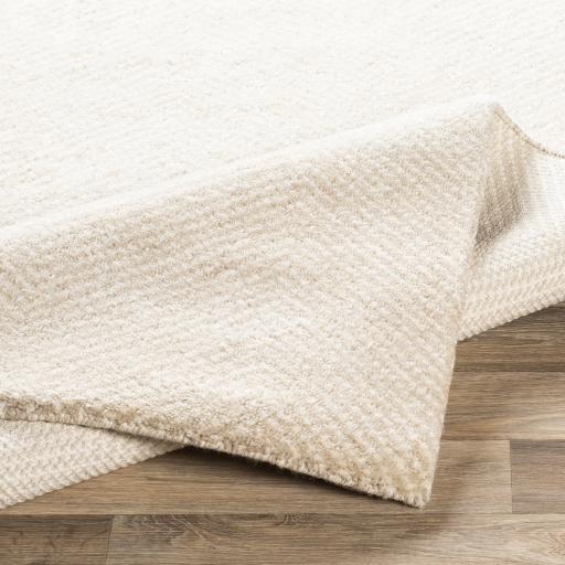 Surya Parma PMA-2304 2' x 3' Rug