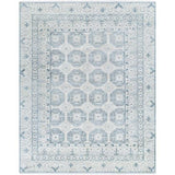 Surya Riviera RIV-2301 2' x 3' Rug