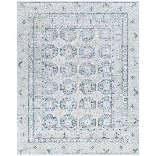 Surya Riviera RIV-2301 2' x 3' Rug
