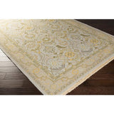 Surya Sonoma SNM-9036 Ice Blue Light Olive 2' x 3' Rug