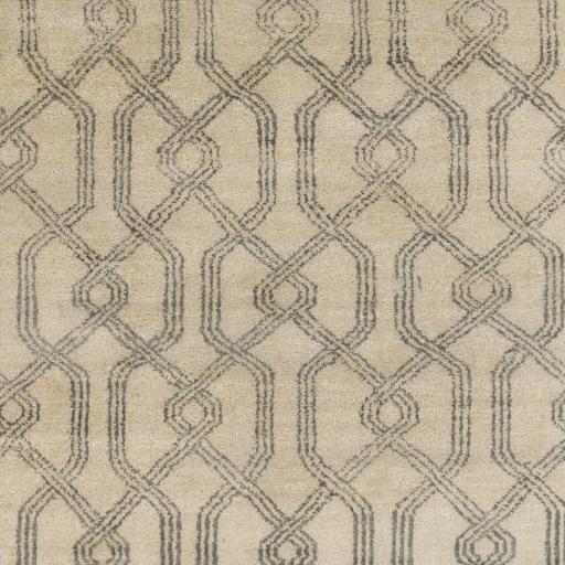 Surya Stanton SAO-2006 Charcoal Taupe 6' x 9' Rug