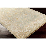 Surya Temptress TMS-3000 Light Sage Medium Gray 5' x 8' Rug