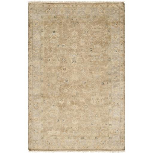 Surya Transcendent TNS-9004 2' x 3' Rug