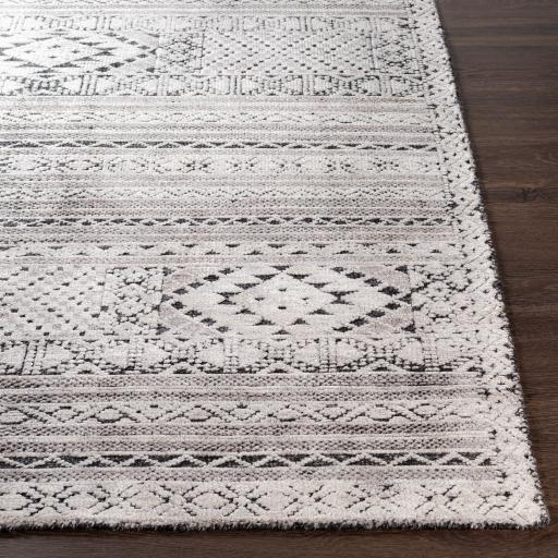 Surya Tunus TUN-2304 2' x 3' Rug