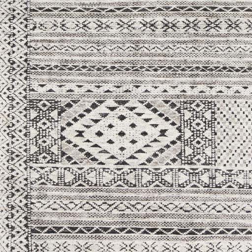 Surya Tunus TUN-2304 2' x 3' Rug