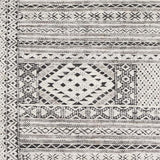 Surya Tunus TUN-2304 2' x 3' Rug