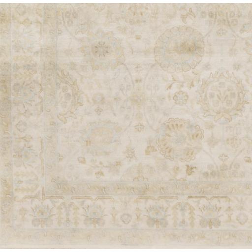 Surya Victoria VIC-2003 Beige Light Beige 5'6" x 8'6" Rug