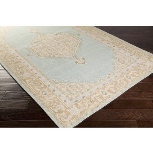 Surya Zahra ZHA-4029 Beige Light Brown 5'6" x 8'6" Rug
