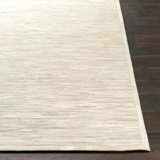 Surya Zander ZND-1006 Ivory Light Beige 2' x 3' Rug
