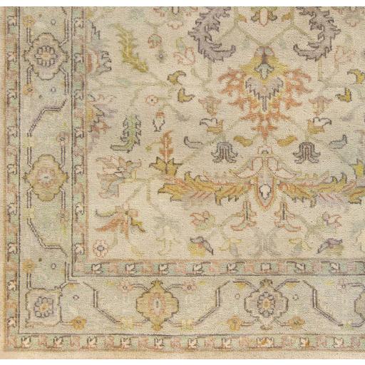 Surya Zeus ZEU-7812 3'9" x 5'9" Rug