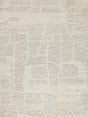Exquisite Rugs Calexico Handwoven New Zealand Wool 6429 Ivory/Beige 8' x 10' Area Rug
