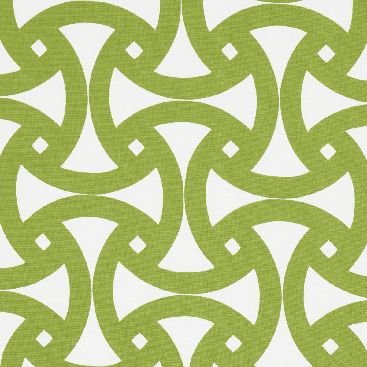 Schumacher Santorini Print Indoor/Outdoor Fern Fabric