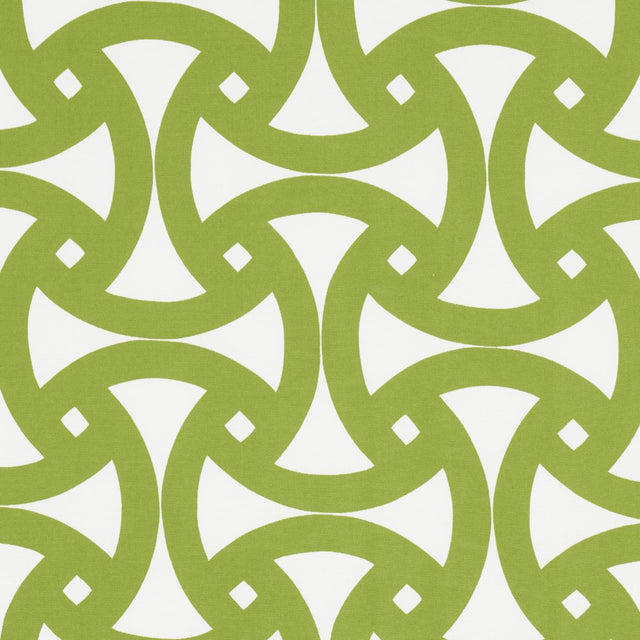 Schumacher Santorini Print Indoor/Outdoor Fern Fabric