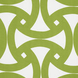 Schumacher Santorini Print Indoor/Outdoor Fern Fabric